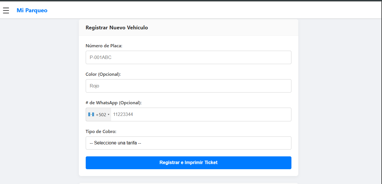 Registro de Vehículo y Ticket
